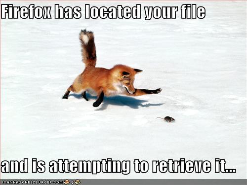 [Image: funny-pictures-firefox-tries-to-retrieve-your-file.jpg]