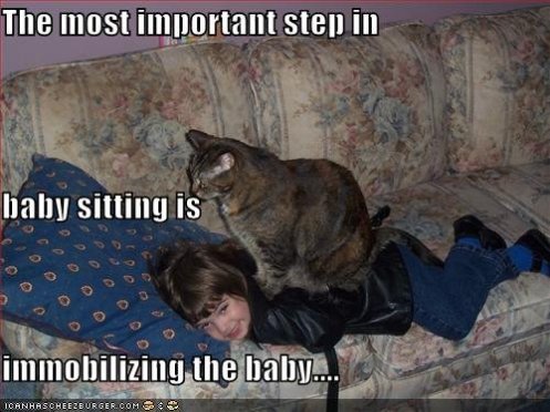 funny-pictures-cat-babysits-on-the-baby.jpg?w=497&h=372